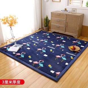 wm9a定做榻榻米床垫卧室客厅火炕地垫农村加厚电热炕垫子大炕床