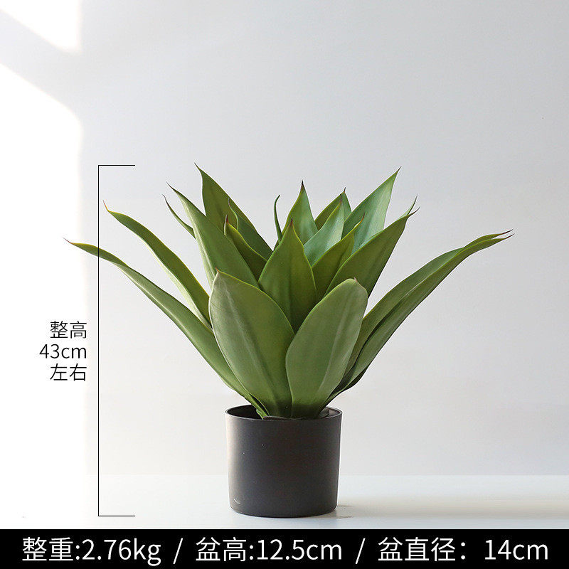代发北欧ins绿植造景盆栽多肉植物龙舌兰凤尾兰客厅橱窗落地装饰