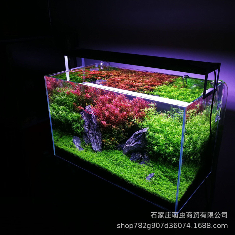 指定用户专拍 8升版 水草泥底砂造景用品套餐陶粒底砂底泥水族箱
