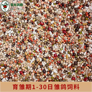 枭龙鸽粮育雏2号10鸽子喷窝育雏饲料鸟食赛鸽信鸽公斤粮