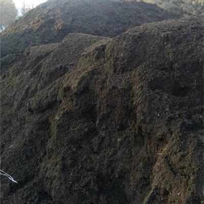 厂家通用型草炭土有机质营养土种菜养花供应种植土