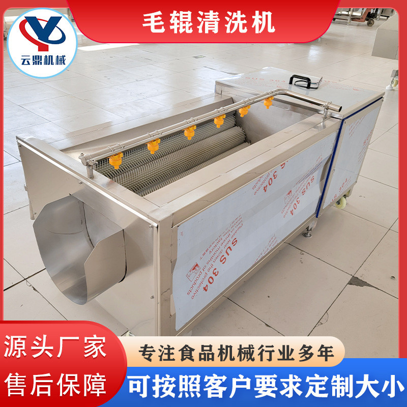 热销供应清洗莲藕清洗机桔梗折耳根清洗机全自动毛刷毛辊马蹄机器
