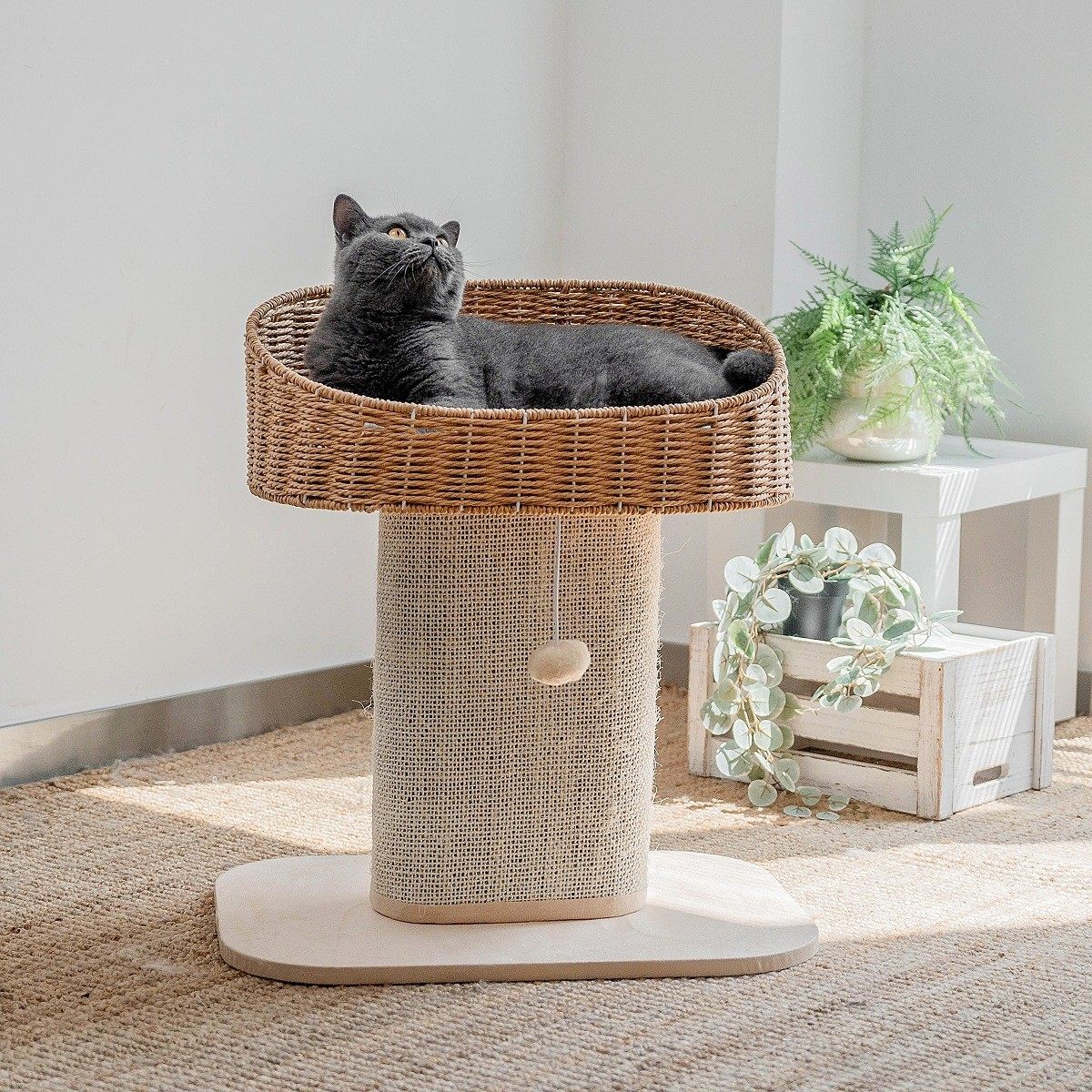 肥猫布偶缅因猫爬架猫窝猫树一体藤编猫窝猫玩具编织猫攀爬剑麻,办公设备/耗材/相关服务,3D打印机配件,淘宝优惠券,粉丝福利购,淘宝优惠卷