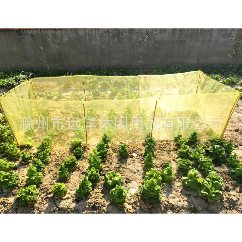 踩踏泥地竹竿围栏围挡保护植物蔬菜防止动物菜园啃咬