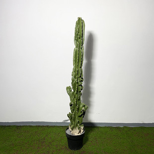 厂家供应柱沙生植物造景植物仿真天伦仿真仙人掌大型仙人柱批发