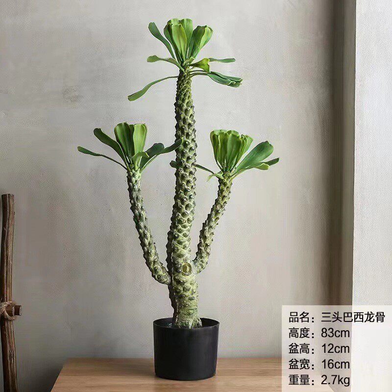 仿真绿植仙人柱霸王鞭仙人掌盆栽沙漠龙骨树热带巴西造景家居摆件
