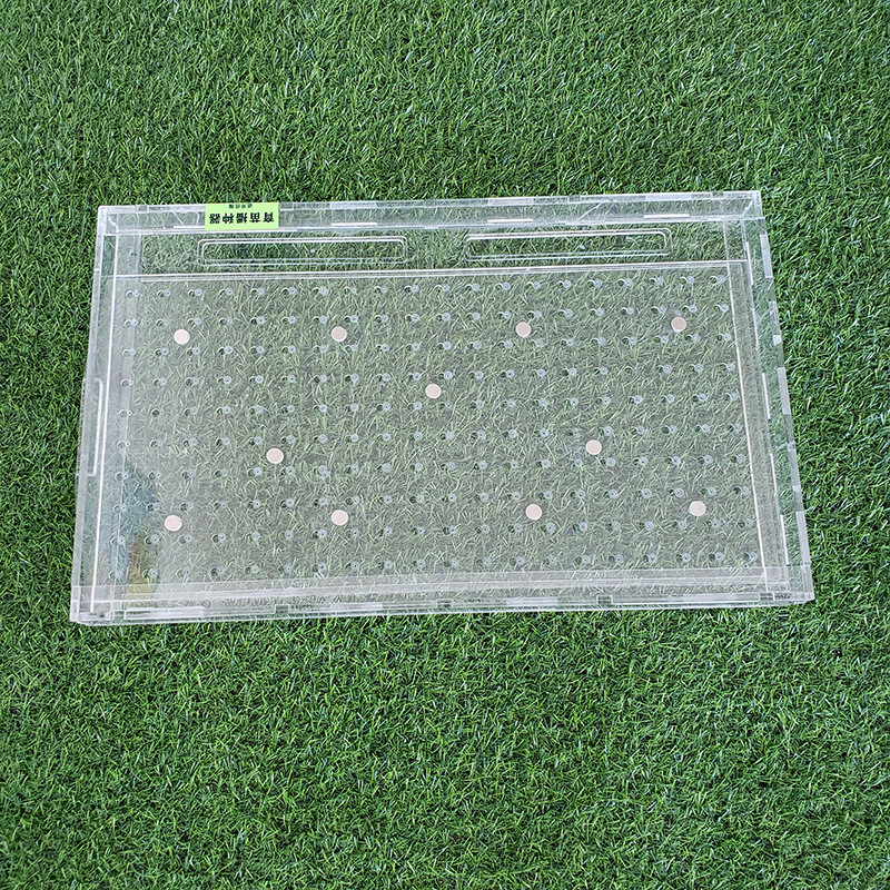 育苗盘播种器手持穴生菜播种器白菜甘蓝西兰花盘蔬菜透明播种器