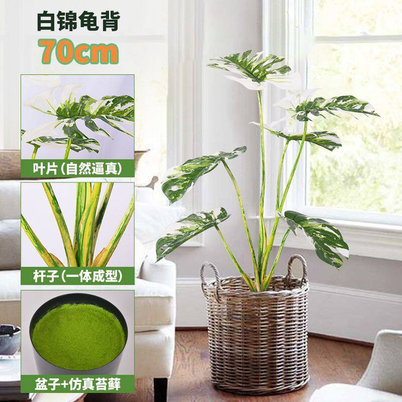 仿真植物道具过胶龟背叶盆栽室内装饰手感造景白锦龟背全绿龟背