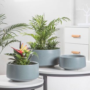 矮大口径大号陶土盆陶瓷花盆款 简约创意蝴蝶兰多肉绿萝盆栽