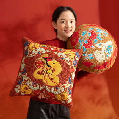 玉京送财新年抱枕沙发客厅红色喜庆春节护腰靠垫高级感结婚靠枕套