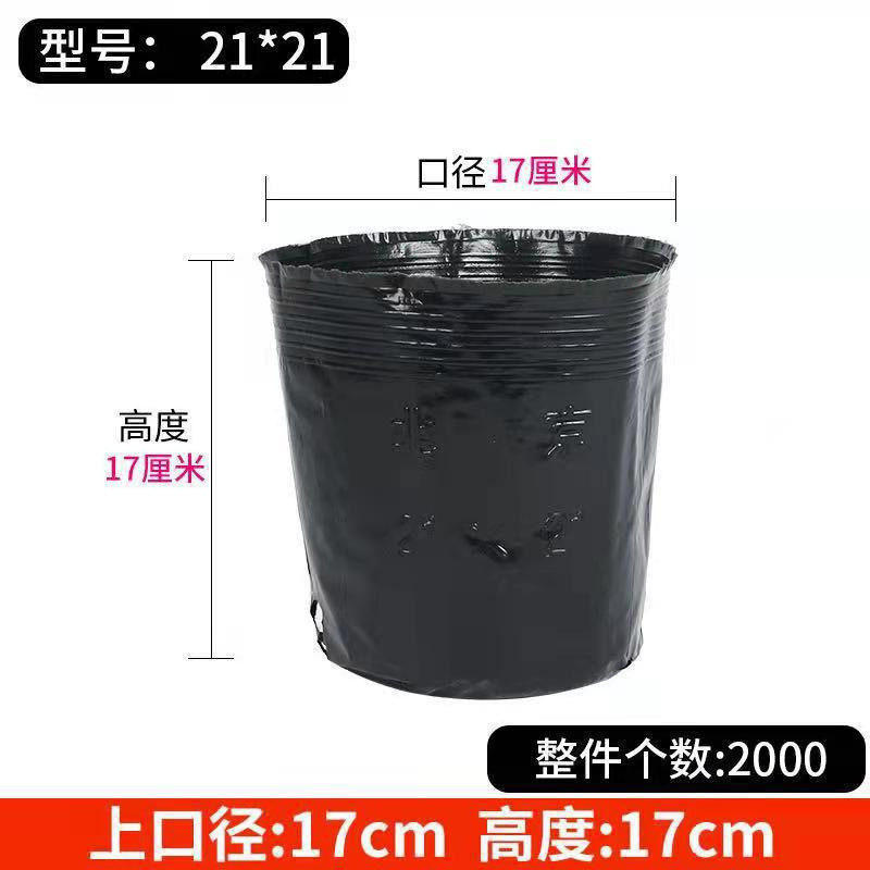 批发营养钵育苗育苗批发营养钵育苗杯杯花盆苗圃植物加厚花盆黑色,鲜花速递/花卉仿真/绿植园艺,花盆,淘宝优惠券,粉丝福利购,淘宝优惠卷