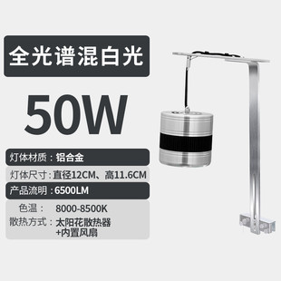 水族观赏鱼溪流缸水族箱简约办风桌面家居公测过滤带盖造景观diy