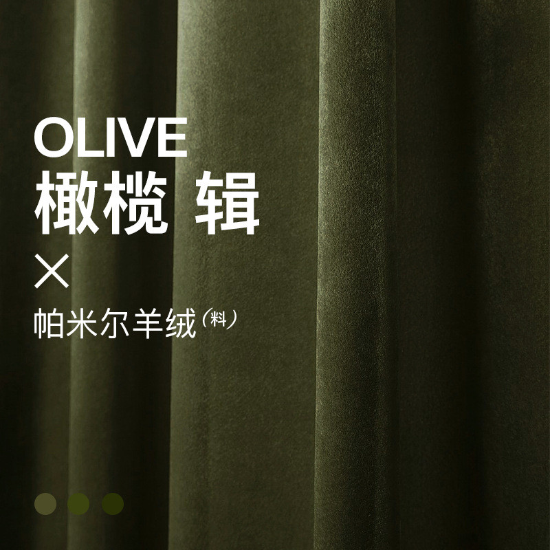 6buj辑/35橄榄绿墨绿色丝绒窗帘轻奢复古2022年新款客厅卧室遮光