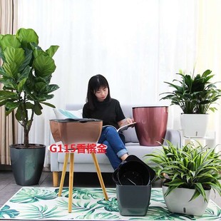 懒人林泽落地花盆室内商场办公室种植盆阳台租摆棉线欧吸水盆