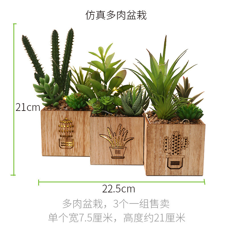 绿植多肉摆件植物小盆景仙人掌装饰仿真办公室迷你客厅假花仿真花