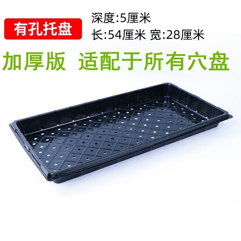 。批发穴育苗盘盘育苗盒育苗盆蔬菜育苗盆塑料育苗器苗木多肉整箱