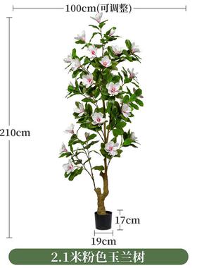 高级植物玉兰树假树盆栽室内客厅大型落地仿生仿真绿植装饰品摆件