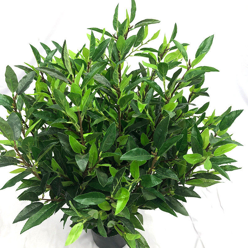 仿真绿植盆栽毛尖茶树落地茶叶室内外植物盆景工程装饰厂家批发