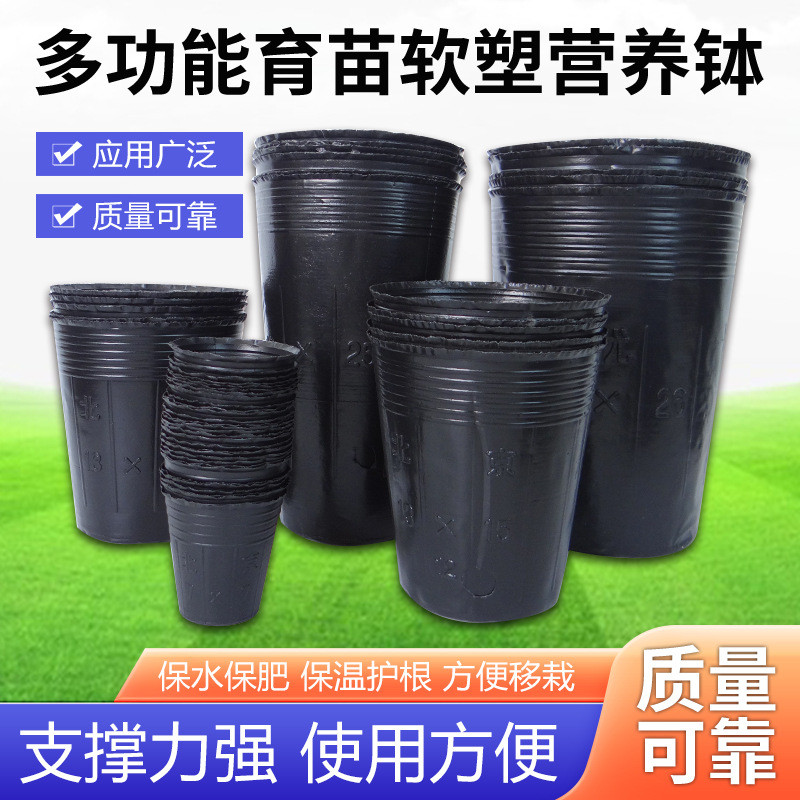 营养钵批发一次性秧苗育苗杯黑色塑料袋花卉种植育苗盆