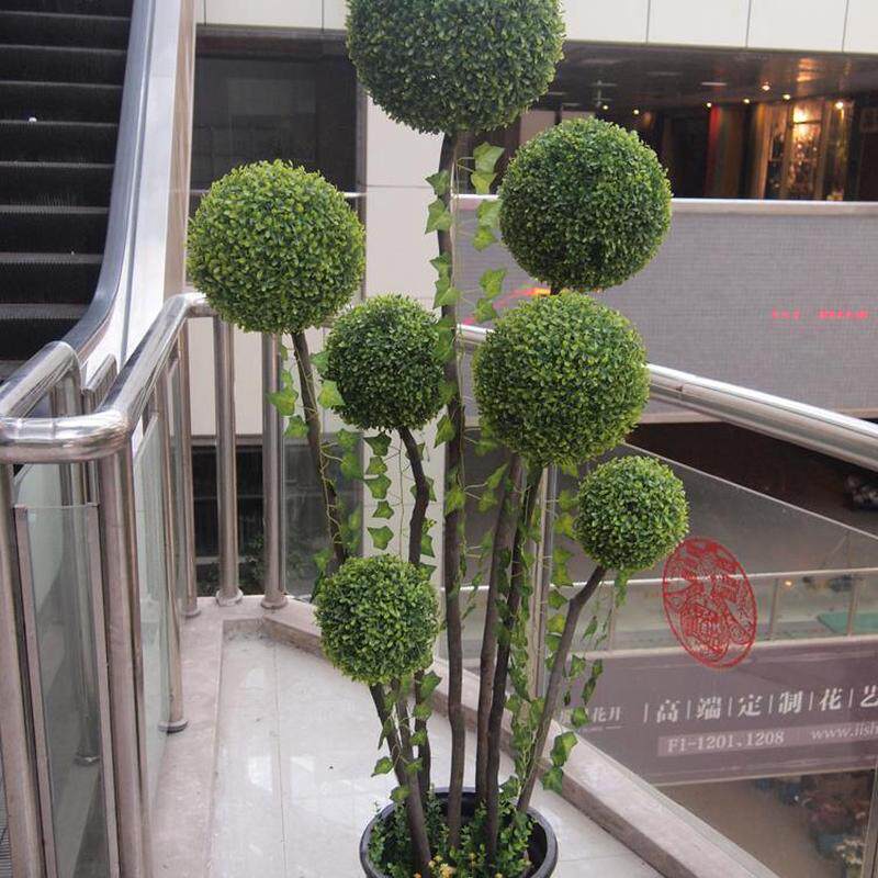 植物树造型黄杨树草球树密叶球大型绿植花欧式假树盆栽送盆