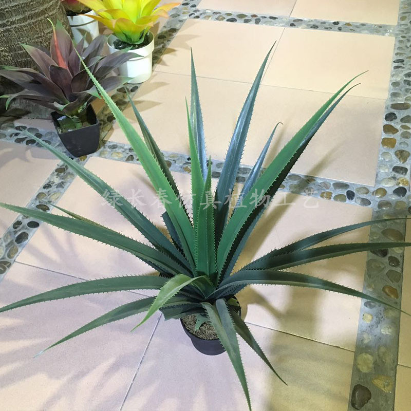 厂家仿真盆栽绿植剑兰剑麻龙舌兰一帆风顺园林造景绿植假树装饰