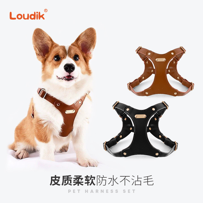 Loudik批发柔软皮质狗狗宠物胸背带牵引绳遛狗绳柯基中小型犬跨境
