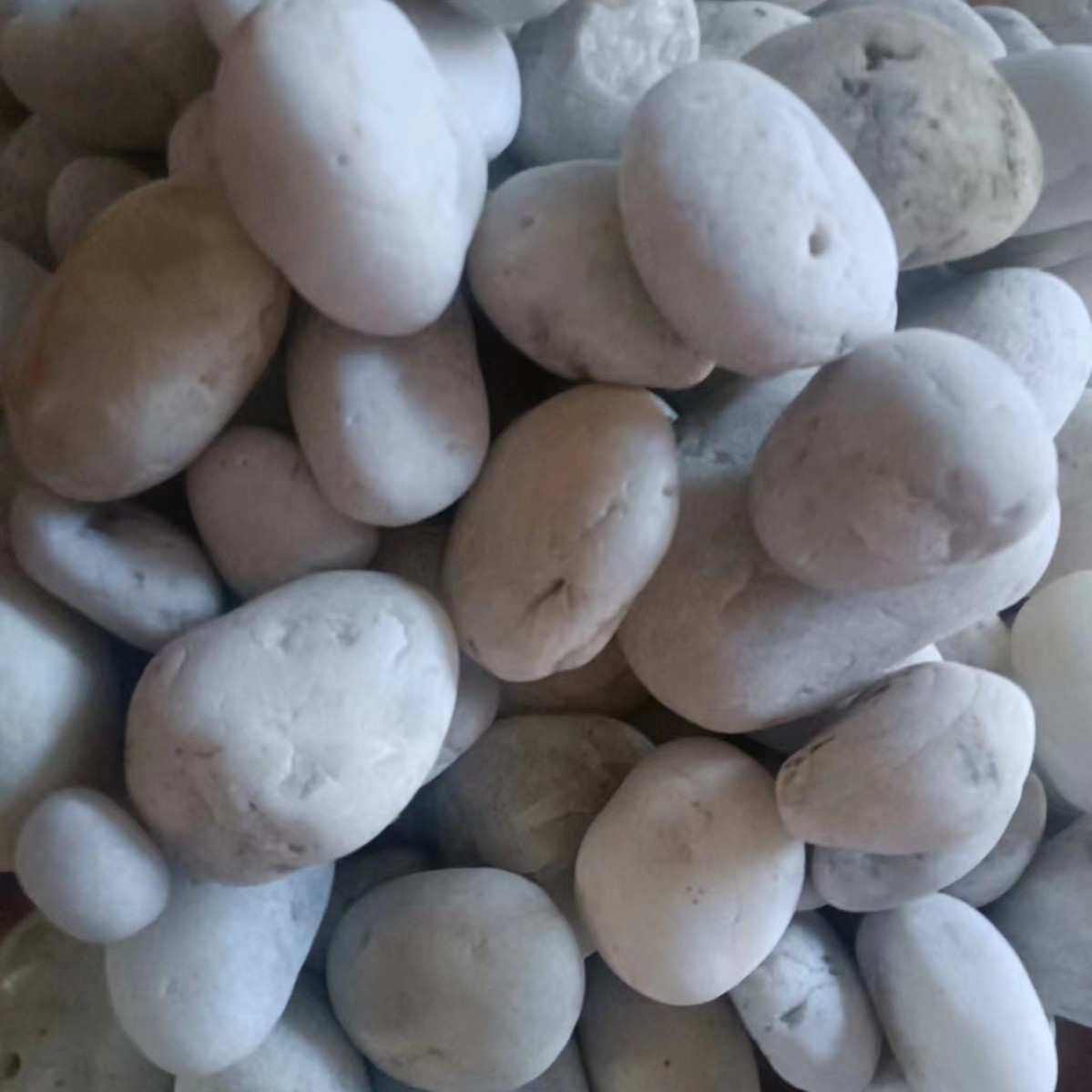 白色鹅卵石园林白色造景铺路鹅卵石水池大号美化装饰白石子厂家