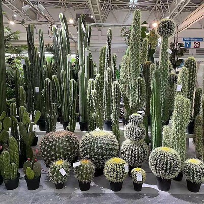 北欧INS 仿真绿植PU仙人掌仙人球仙人柱盆栽沙漠植物室内装饰造景