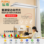 全光谱教室灯护眼大路灯办公吊灯学习落地灯普瑞无蓝光RG0教育灯