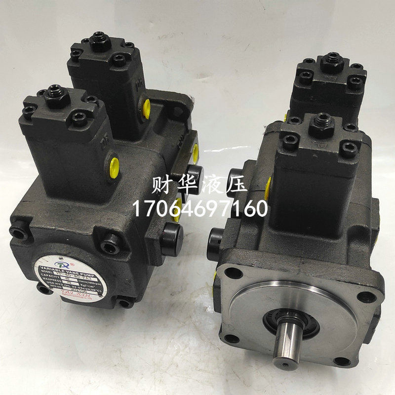 台鑫VP-20-20-FA3双联叶片泵VP-30-30-FA3液压油泵VP-40-40-FA2/1