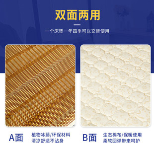 两用冰丝凉席藤床垫保暖欧洲夏季透气冬季御寒双面御床垫子