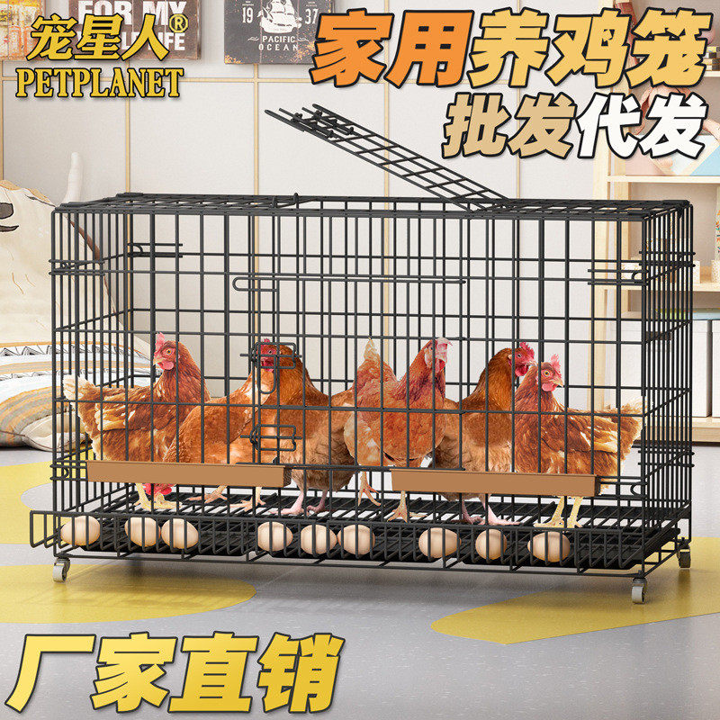 蛋鸡笼家用大号养殖笼鸭笼鹅笼鹌鹑笼 带蛋托家用鸡笼养殖笼