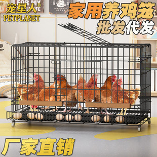 带蛋托家用鸡笼养殖笼 蛋鸡笼家用大号养殖笼鸭笼鹅笼鹌鹑笼