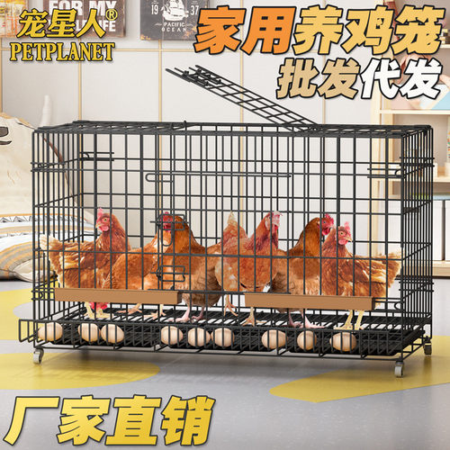 蛋鸡笼家用大号养殖笼鸭笼鹅笼鹌鹑笼 带蛋托家用鸡笼养殖笼