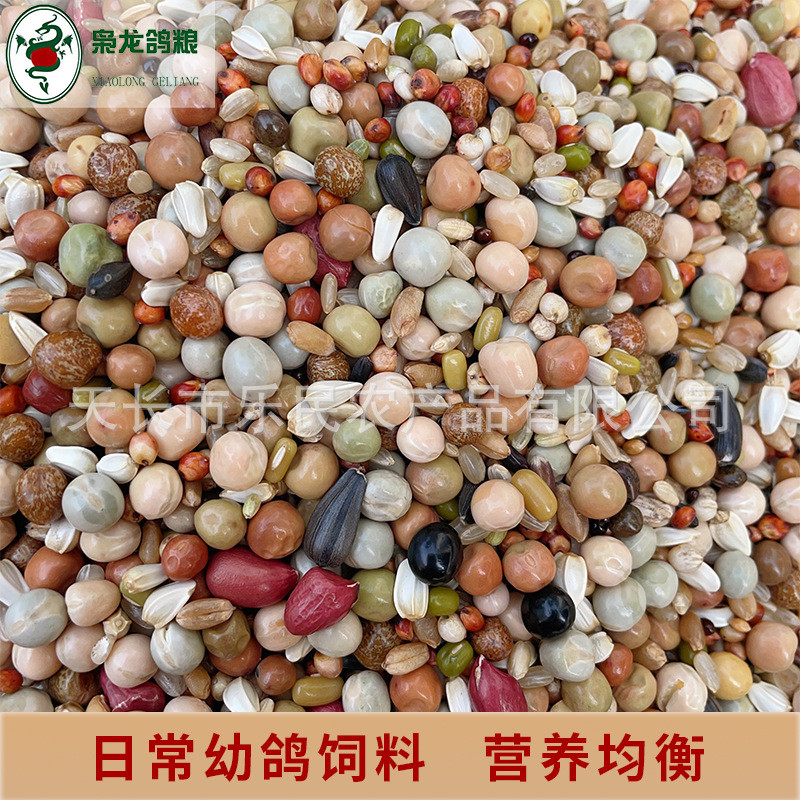枭龙鸽粮幼鸽a2赛鸽信鸽观赏鸽鸽子饲料鸟食营养食50斤