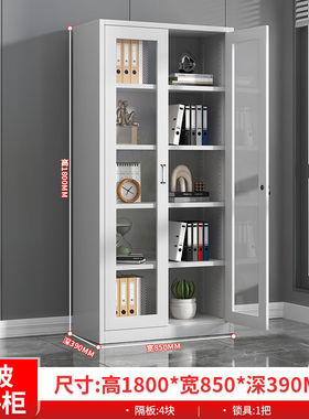 钢制公文铁皮储物柜带锁工具柜档案柜阳台收纳柜办矮柜江柜更衣柜