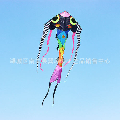 2021新款大五彩潍坊风筝批发鱼风筝新式好飞卡通风筝