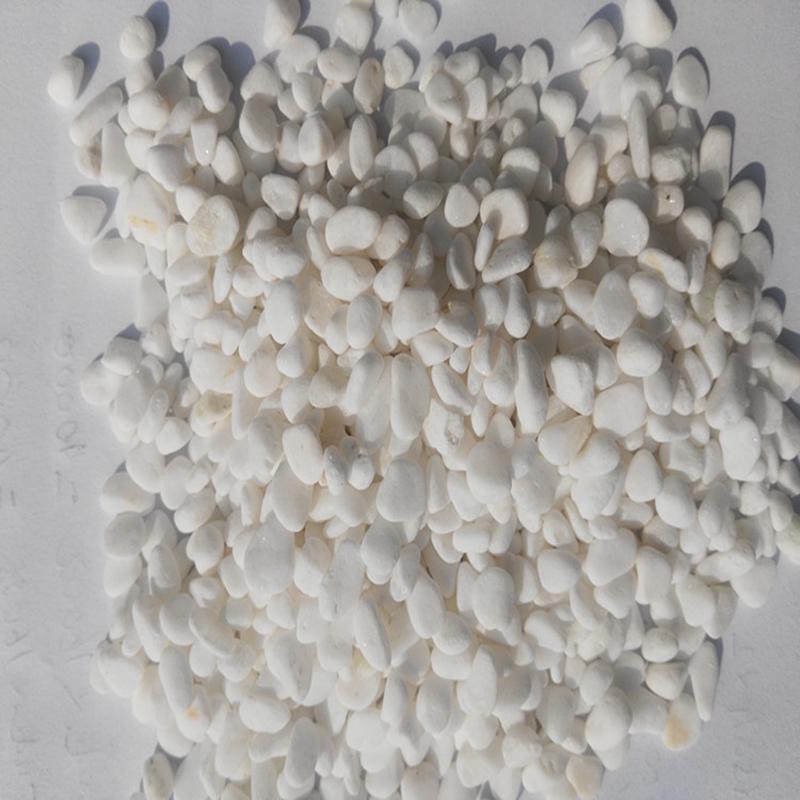 供应白石子庭院景观铺路鹅卵石鱼缸多肉盆栽铺面各种白色大小石头