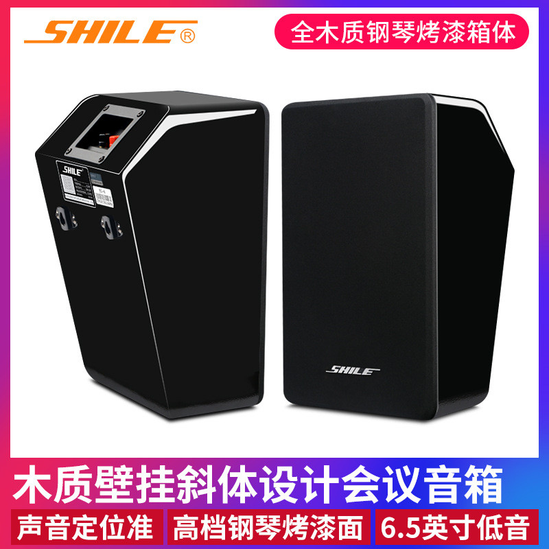 狮乐BG-6 会议专业音箱 背景音乐6.5寸影院壁挂倾斜式音响设备