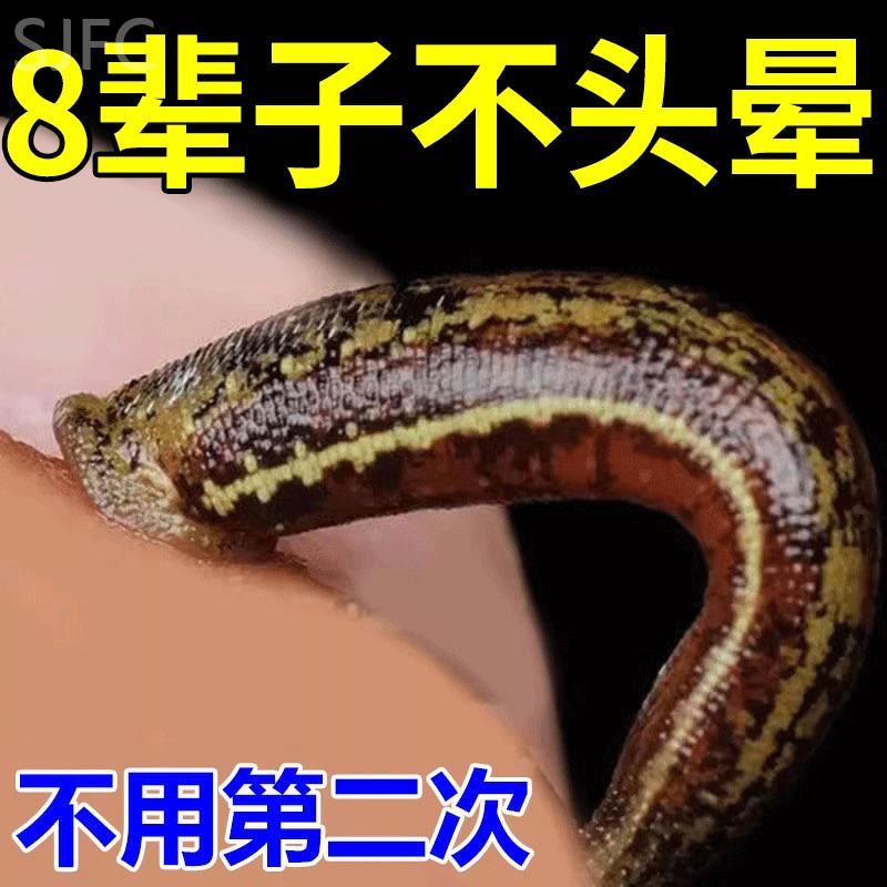 【脑鸣头晕】头晕特效药头晕头昏供血不足眩晕耳石症提神醒脑膏Y