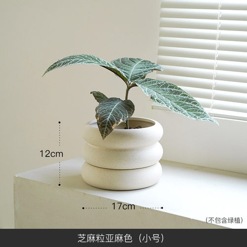 分体式创意轮胎陶瓷花盆托盘底座栀美家海芋盆栽兰花盆陶盆