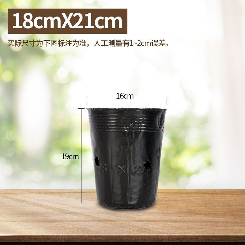 营养杯育苗杯一次性植营养袋育苗袋大号播种黑色塑料育苗盆营养钵