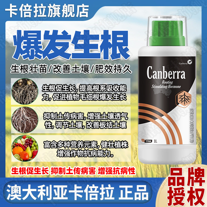 堪培拉爆剂强力生根生根根果树蔬菜花卉通用型快速发根壮苗液体肥