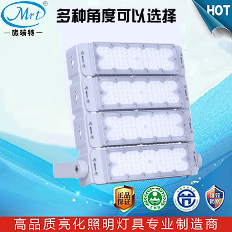 led单色rgbw隧道广告牌码头角度可调模组投光投射塔吊高杆灯