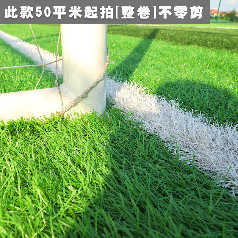 草坪垫子工程围挡假草绿色人造户外草皮人工仿真装饰地毯塑料绿植