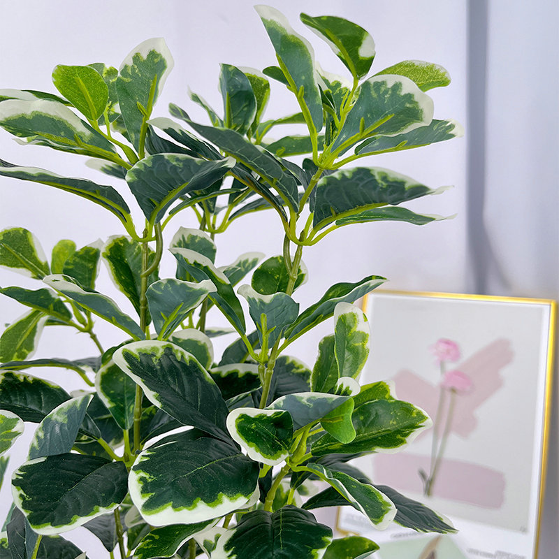 外贸仿真新款福禄桐盆栽仿真绿植盆景酒店商场落地绿植假树摆件