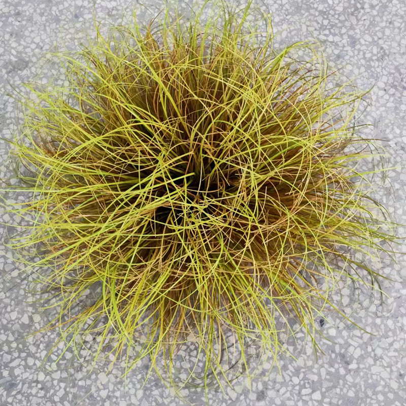 蒲草球仿真植物造景摆件店铺装饰灌木草堆景观芦苇草假草绿植园景