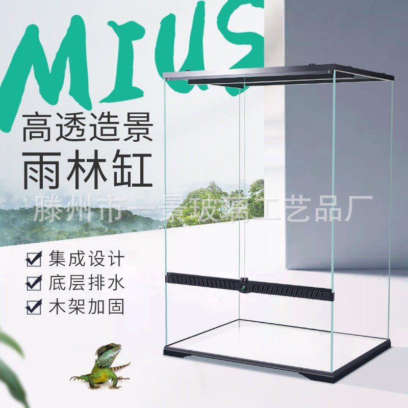 雨淋爬宠植物妙思造景超白玻璃箱热带雨淋缸动物飞龙守宫饲养箱