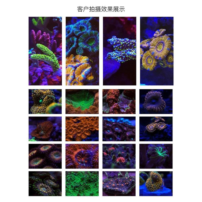 热销海水鱼缸滤镜珊瑚拍摄四合一六合一珊瑚观察镜卡口