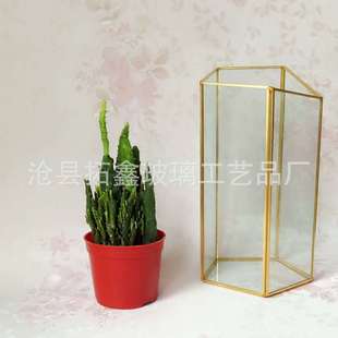 五面创意花盆几何形微景观透明玻璃花瓶多肉植物生态立柱花器